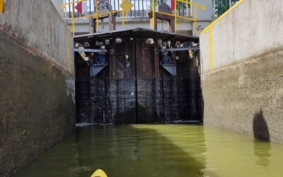 Kajaki na kanałach – dlaczego to idealna opcja dla rodzin i firm